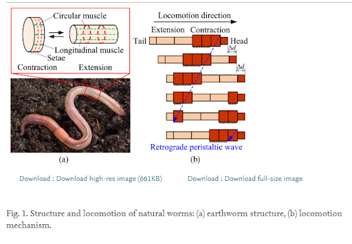 Fig 4