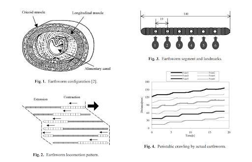 Fig 5