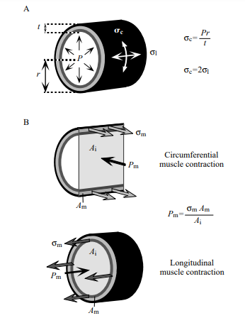 Fig 7