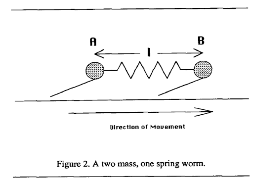 two mass one spring worm